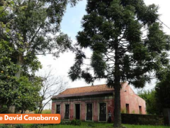 Encante-se no Trem do Pampa, Vinícola Almadén e Compras nos Free Shops de Rivera